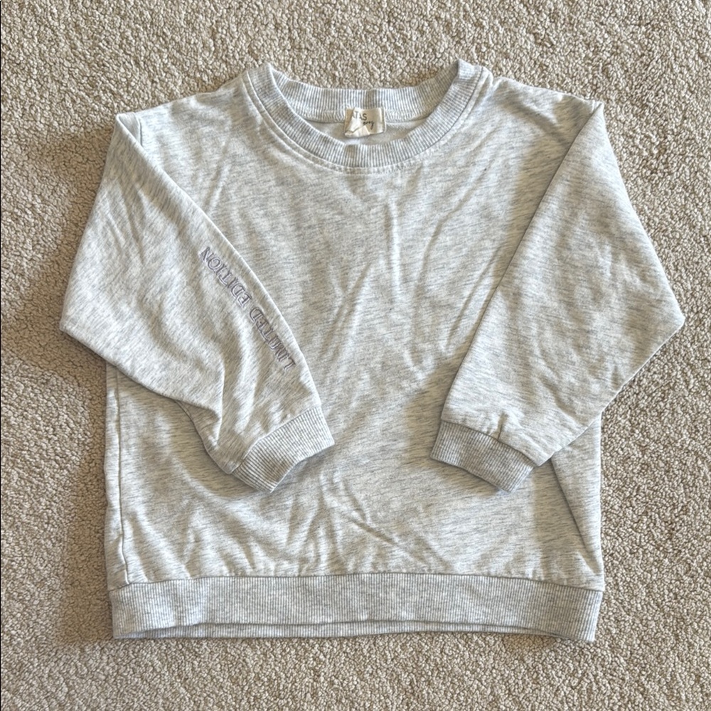 ATLAS grey Light Gray Sweatshirt